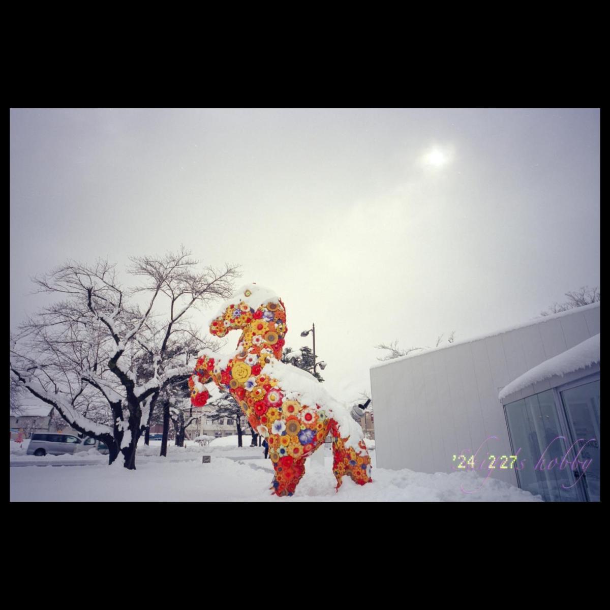 《フラワー・ホース》チェ・ジョンファ "Flower Horse" Choi Jeong Hwa