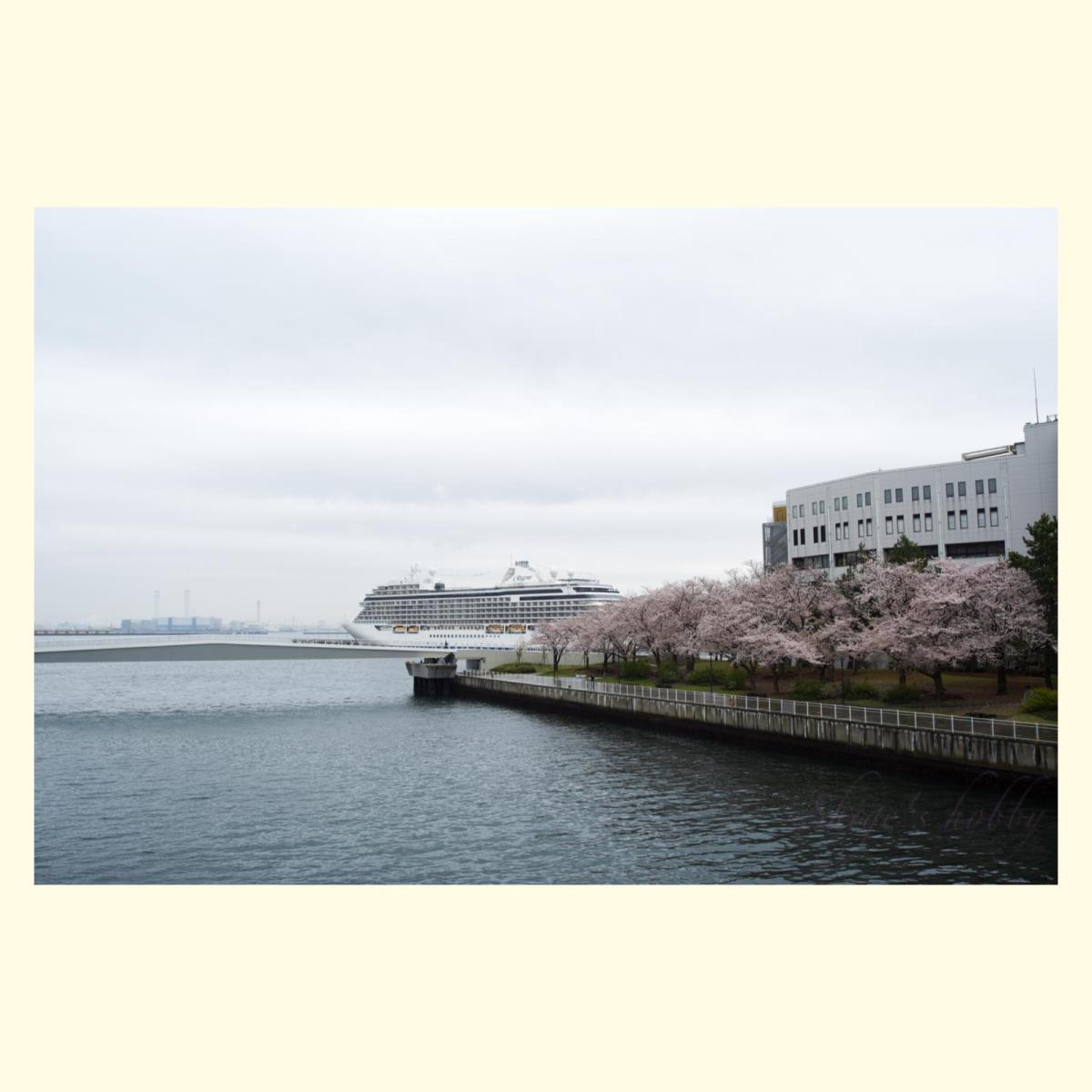 Cruise Ship and Cherry Blossom