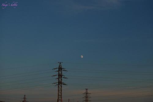 Twilight moon