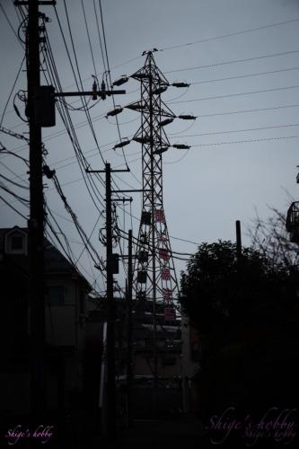 Pylons and power lines