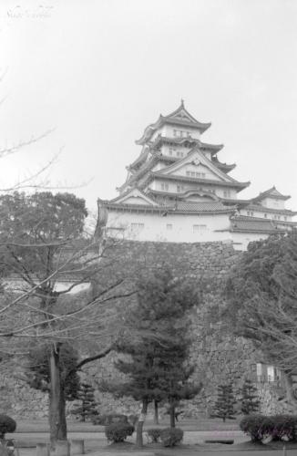 Himei castle 姫路城