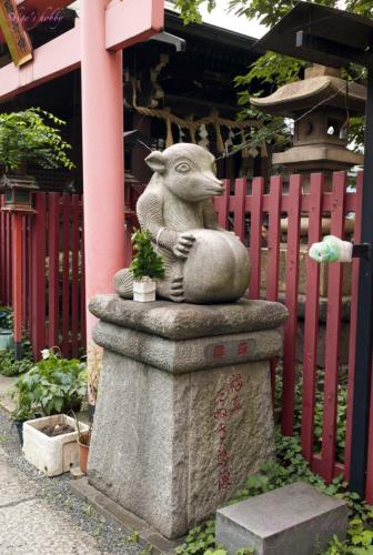 raccoon dog at a shrine