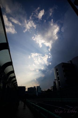 Sky
