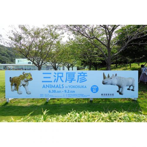 Atsuhiko Misawa /Animals in Yokosuka