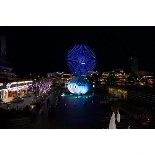 R_SL_1020429
