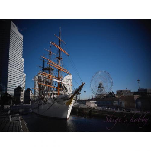 Sail ship Nipponmaru 帆船・日本丸