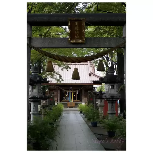 hiejinja-shirane・日枝神社