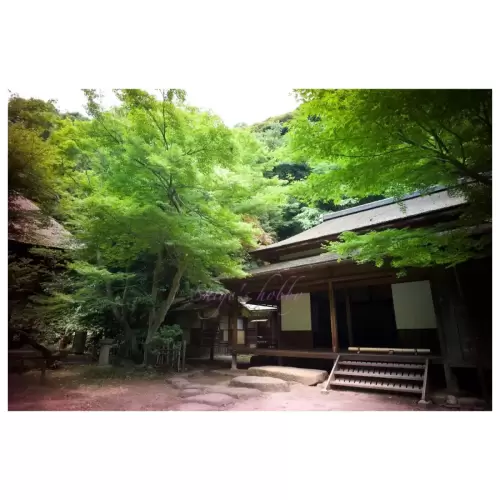 三渓園・Sankeien garden