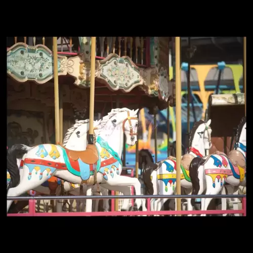 回転木馬・amusement park carousel
