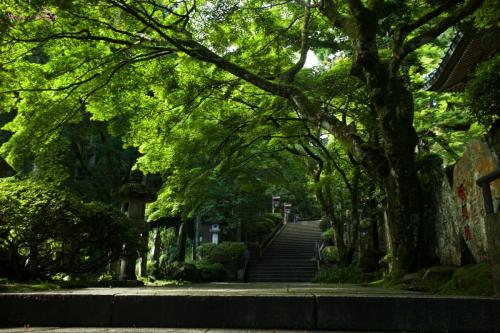 road approaching a shrine