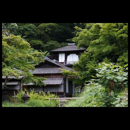 Ancient Architecture /Sankeien garden 古建築・三渓園