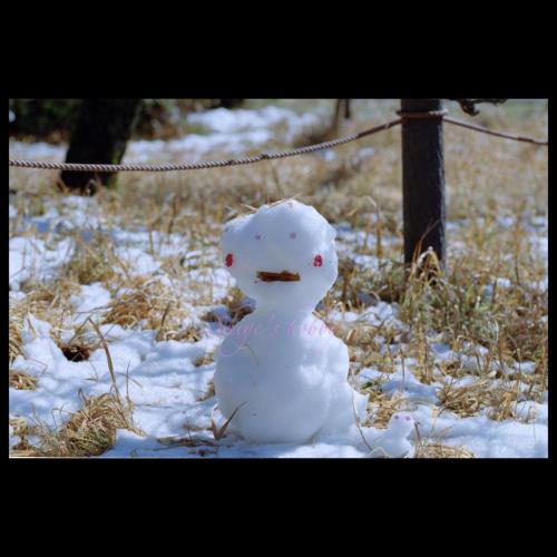 Snowman 雪だるま