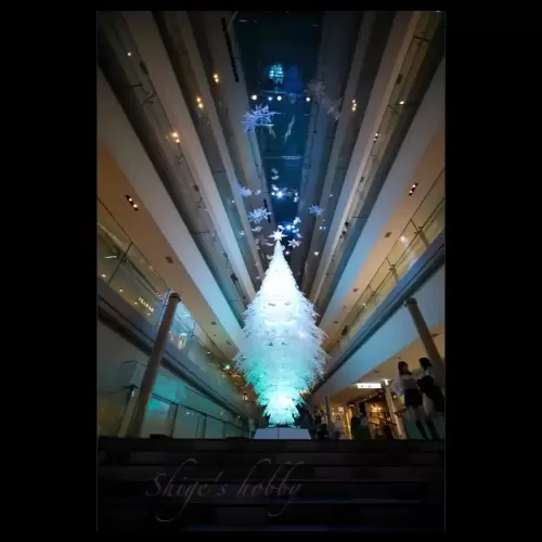 表参道クリスマスツリー2023・Omotesando Hills Christmas Tree 2023