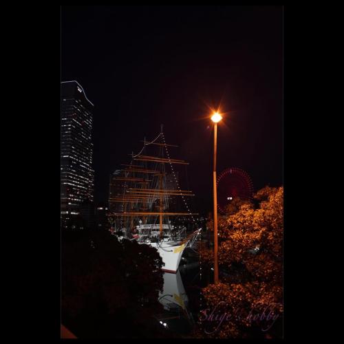 Sail ship Nippon-maru 帆船日本丸