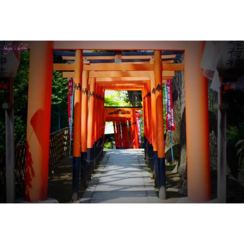 red torii gate (at the gate of a shrine, used as a red-light district during the Edo period)