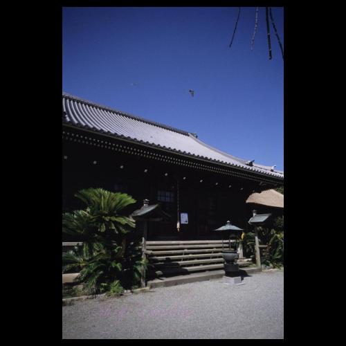Kanazawa bunko (Japanese library)