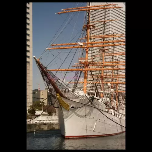 帆船 日本丸・Sail ship Nippon-maru