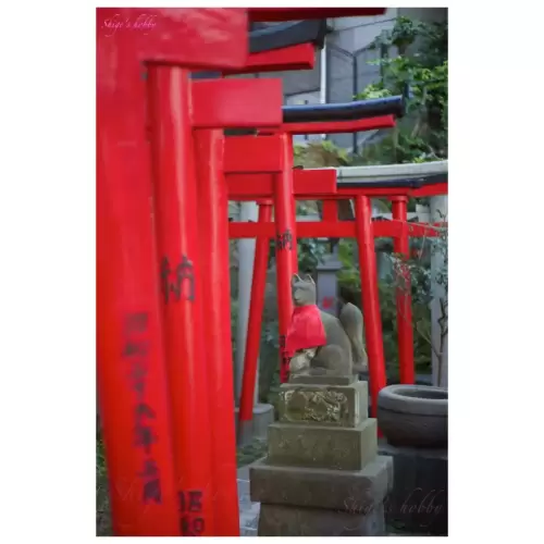 お稲荷さん・Inari Shirane