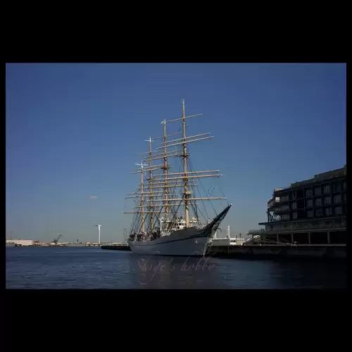 帆船 日本丸・ Sail ship Nippon-maru