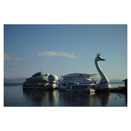 Turtle and Swan Sightseeing Boat