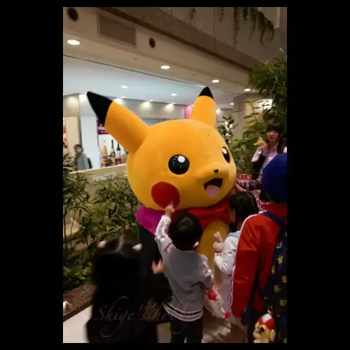 Pikachu・ピカチュウ