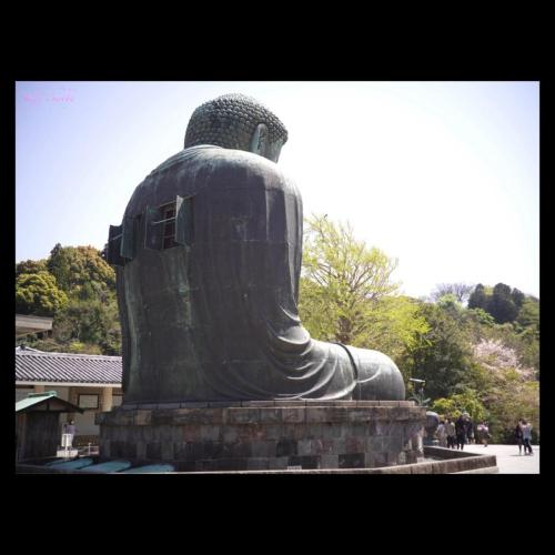 Great Buddha of Kamakura ／鎌倉大仏