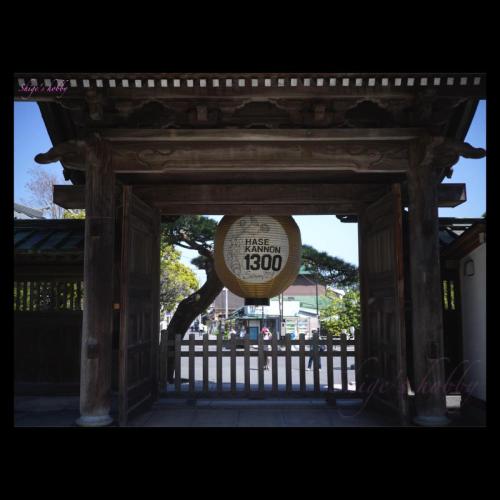 Hasedera-temple ／長谷寺