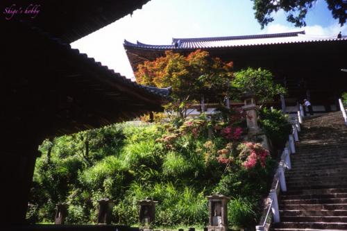 temples and shrines
