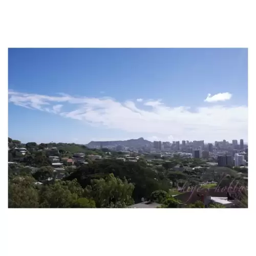 Honolulu Museum of Art Spalding House