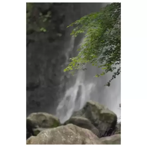 Waterfall・滝