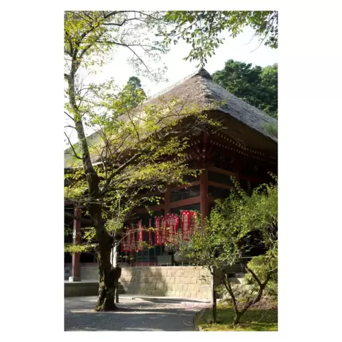 寺・Temple