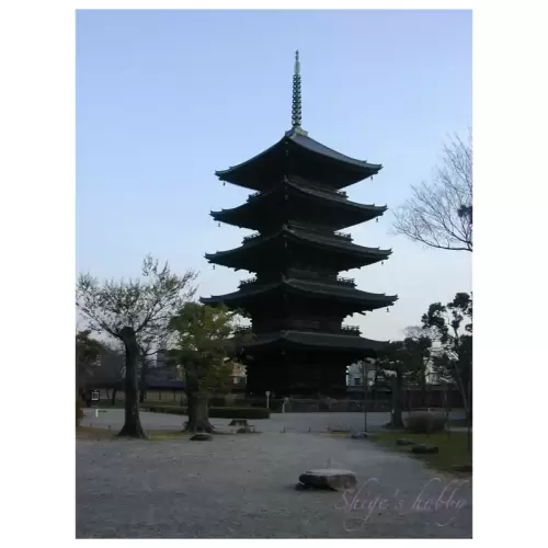 東寺 五重塔・Toji Temple Five-story Pagoda