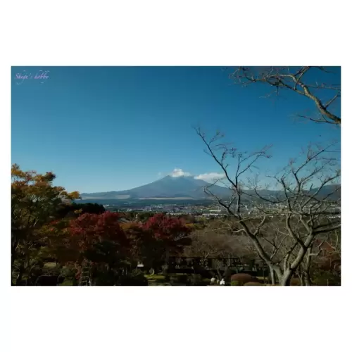 富士山・Mt Fuji