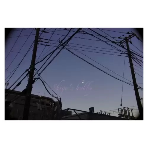 Moon・月