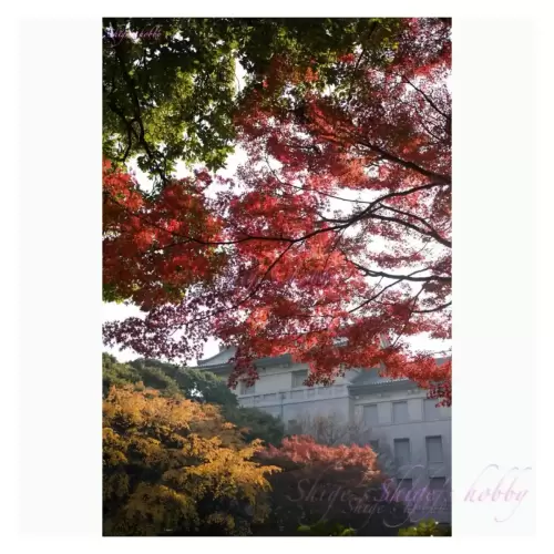 Tokyo National Museum・東京国立博物館