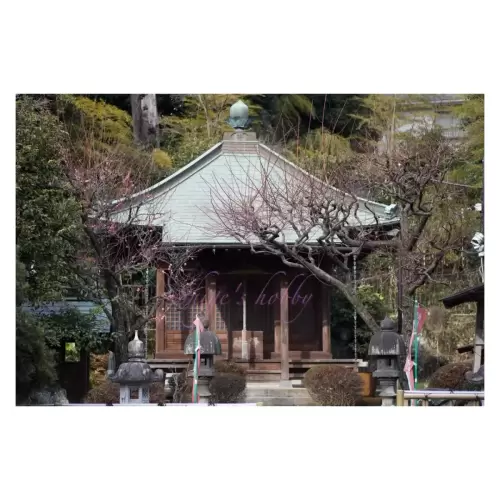 Temple Hall・お寺のお堂