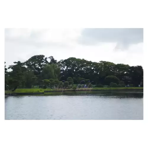 三渓園・Sankeien garden