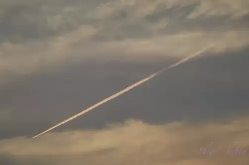 飛行機雲・Contrail