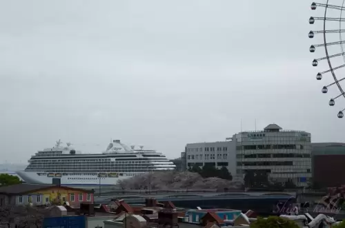 Luxury cruise ship・豪華客船