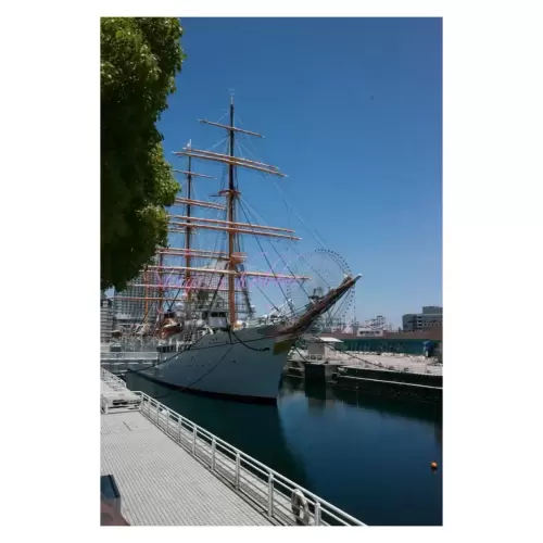 帆船日本丸・Sailship NIPPON-MARU