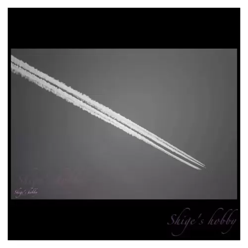 MR TELYT R 500mm – Shige's hobby MR TELYT R 500mm – Shige's hobby