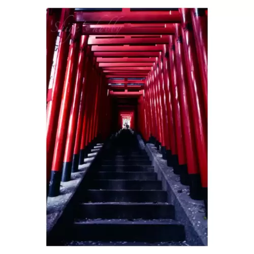 Torii・鳥居