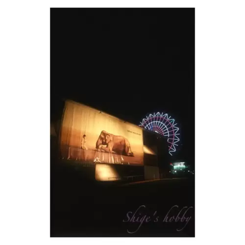 ノマディック美術館（お台場）・Nomadic Museum (Odaiba)