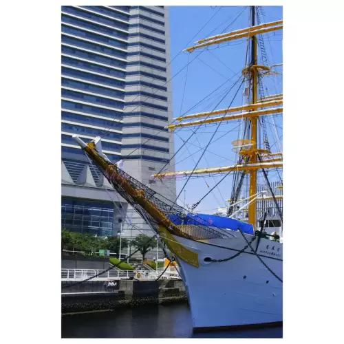 Sail ship Nippon-maru・帆船日本丸