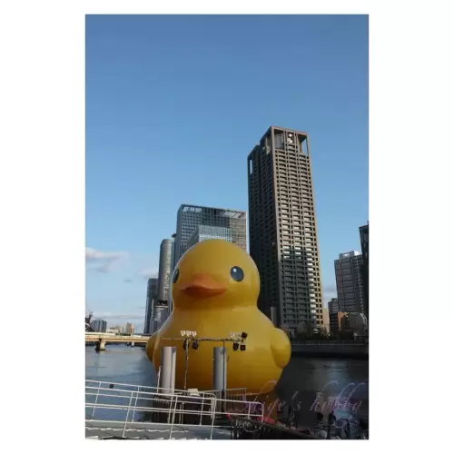 Rubber Duck・ラバーダック