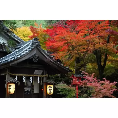 鍬山神社の紅葉・Autumn leaves at Kuwayama Shrine