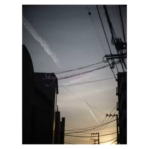 Sunset and airplane trails・夕焼けと飛行機雲