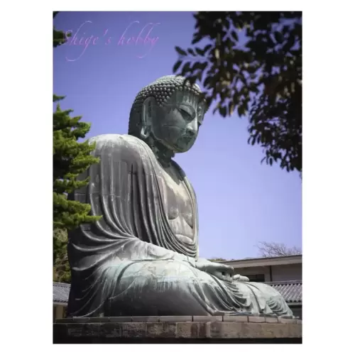 鎌倉大仏・Great Buddha of Kamakura