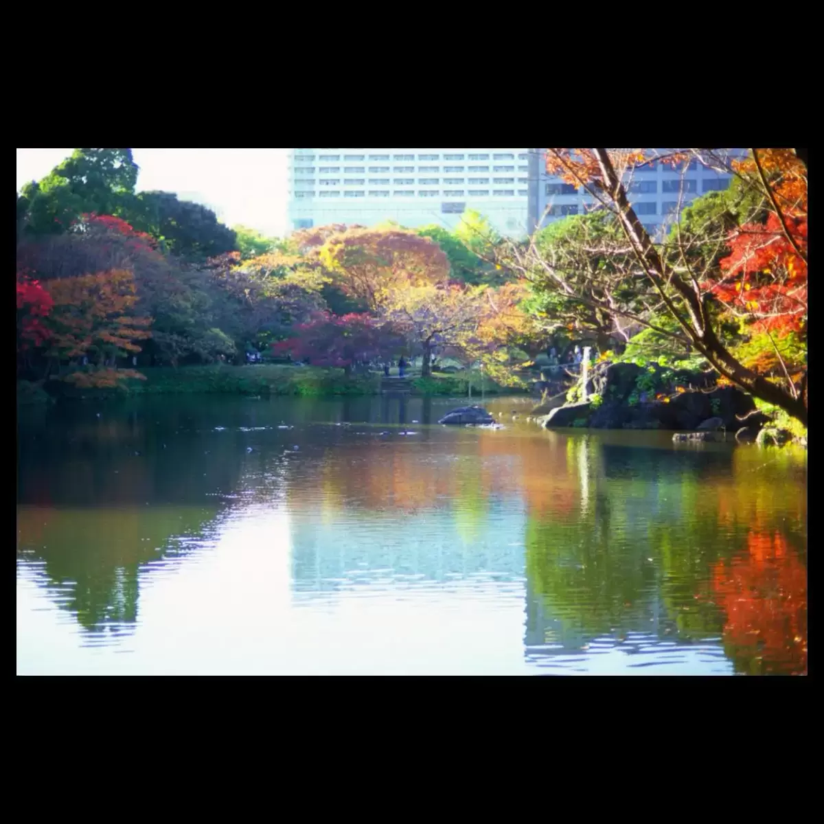 後楽園の秋・Autumn in Korakuen