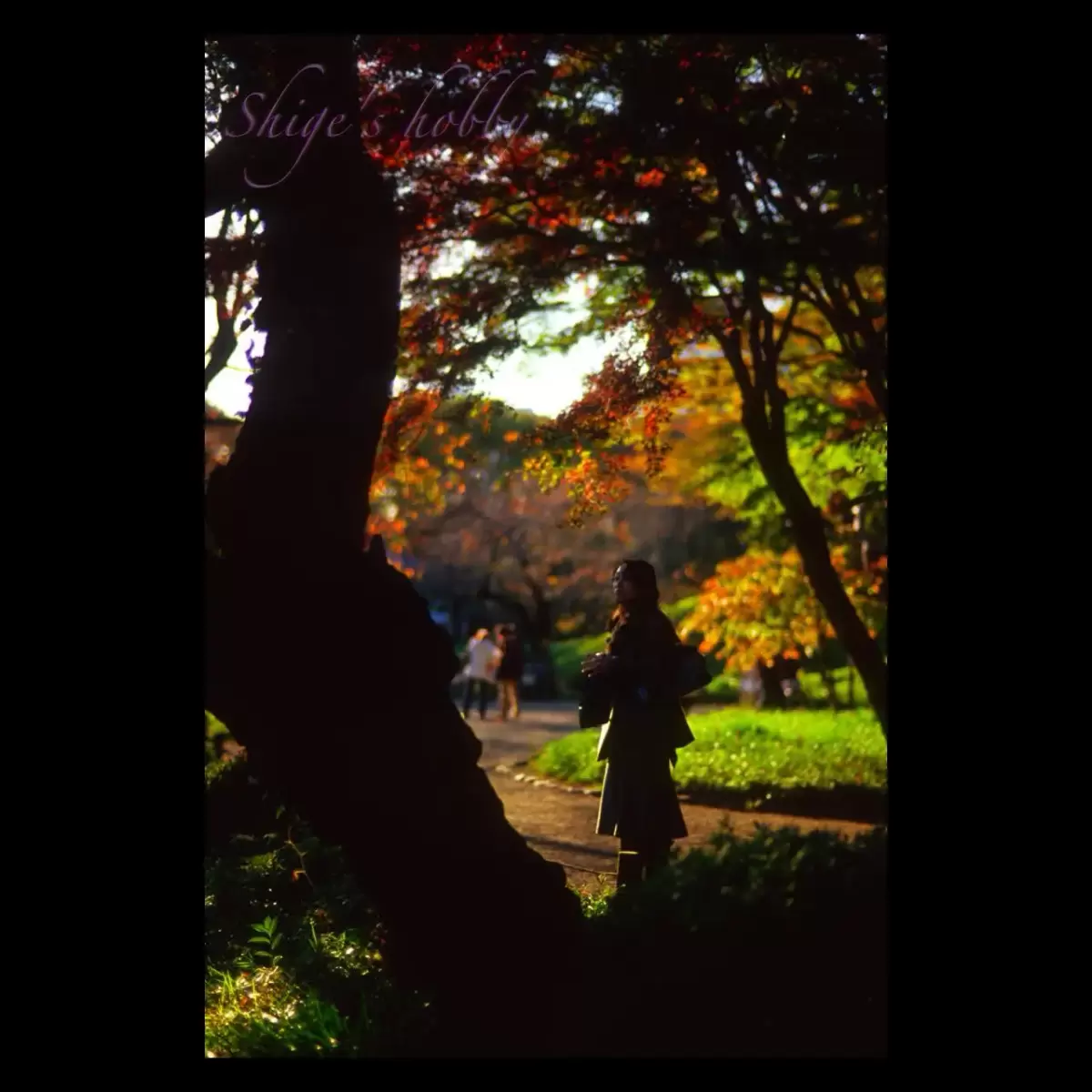 後楽園の秋・Autumn in Korakuen